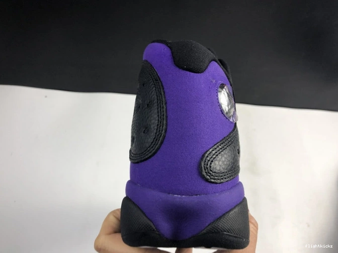 Purple Jordan Air Court DJ5982-015 13 1112